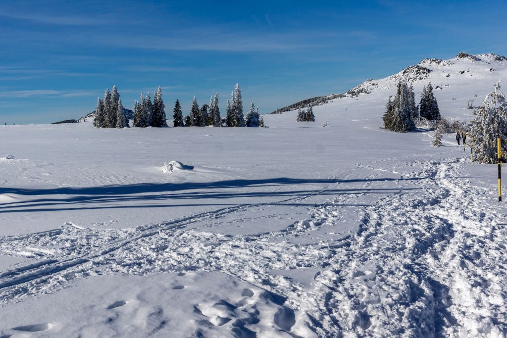 Vitosha Mountain, snow, Bulgaria, Places To Visit In Europe In December