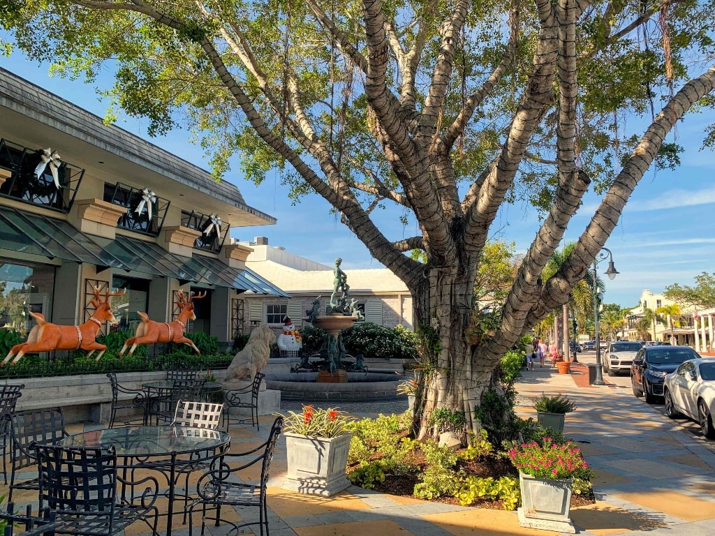 3rd Street South Banyan Tree Naples, Florida