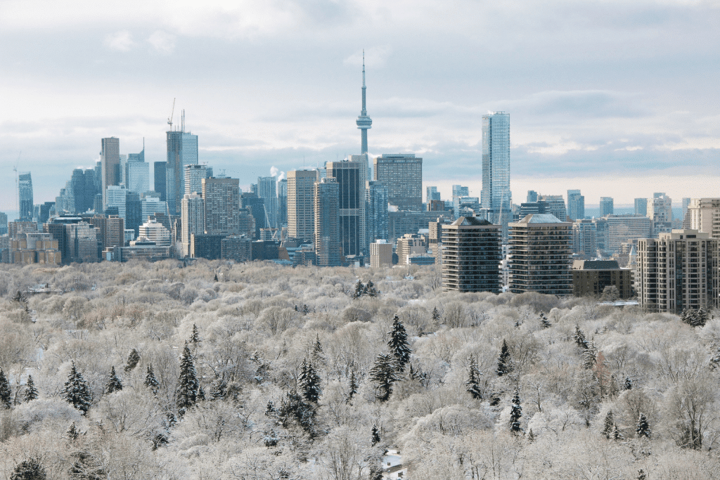 Toronto in the winter, trees covered in snow 