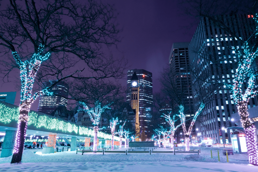 The area in front of Nathan Phillips Square, festive lights, winter time 