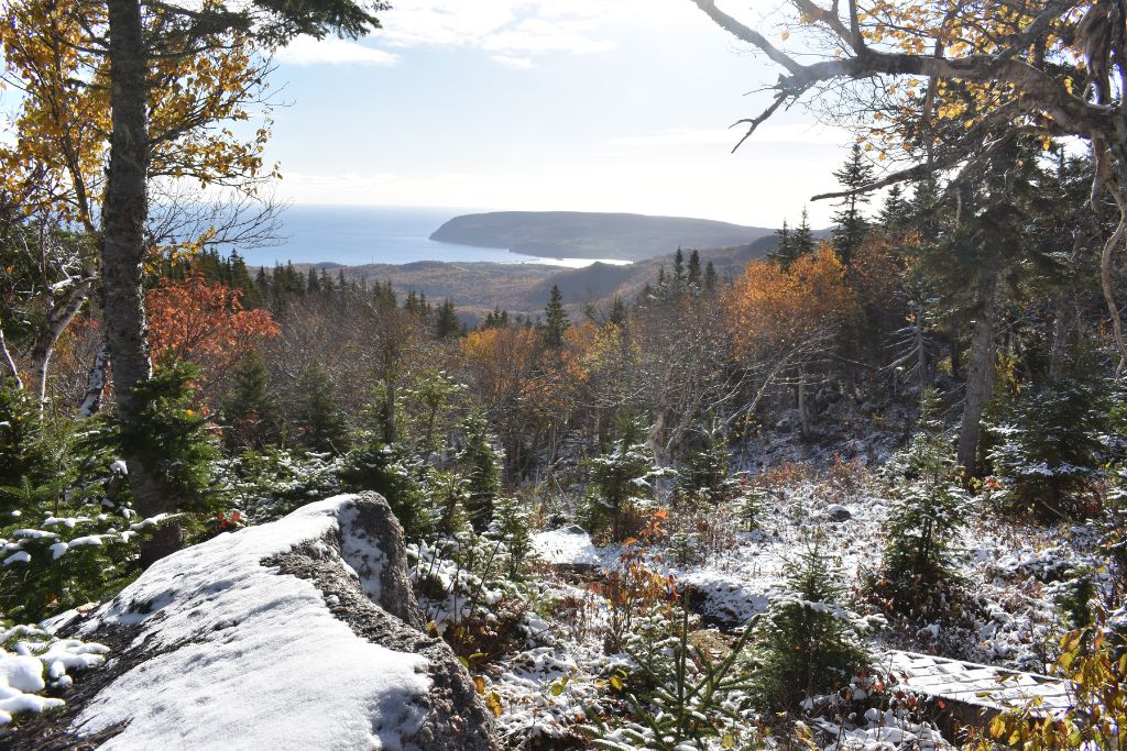 Cape Breton in November, nature, Nova Scotia