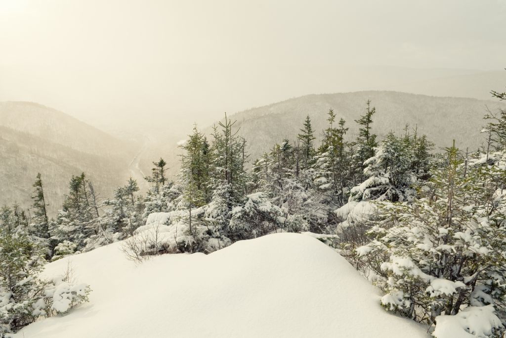 Cape Breton covered in snow, frozen landscapes 