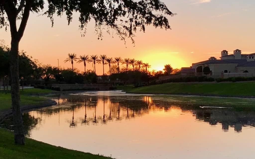 Phoenix sunset, pond, palms 