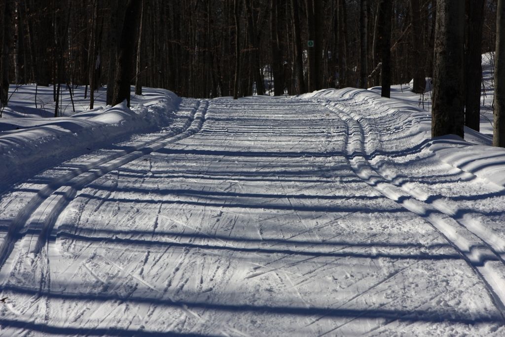 Gatineau Park, snowy road, snowy park