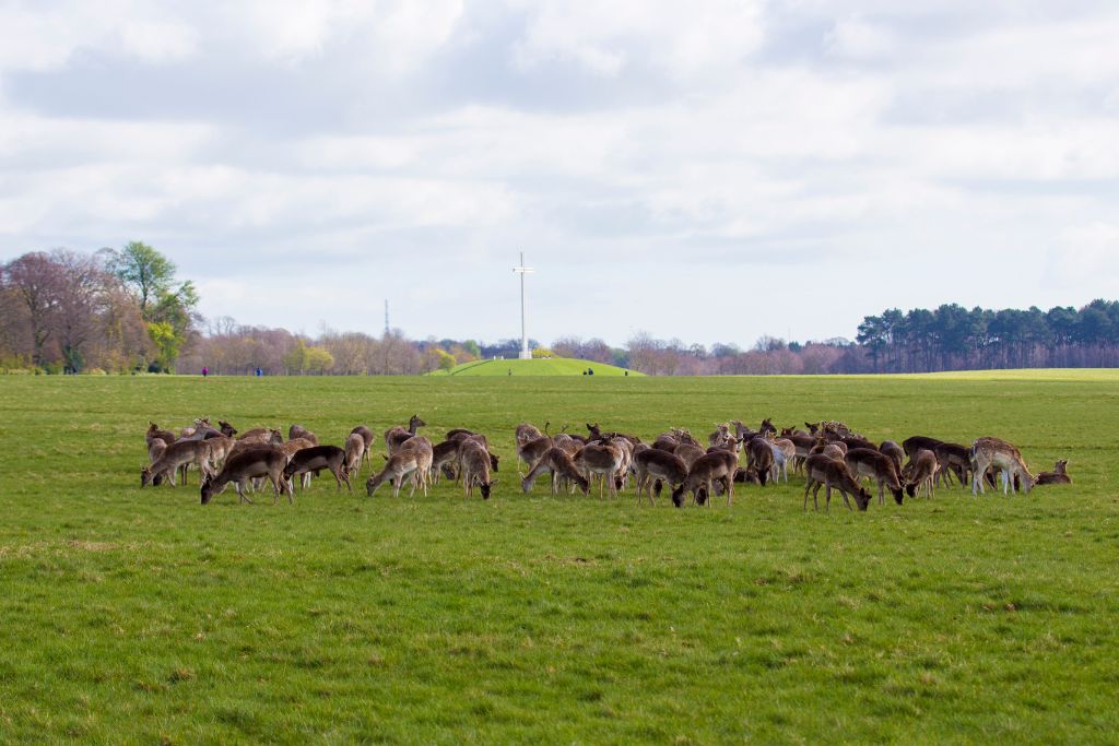 12 Hidden Gems In Dublin You Must Visit