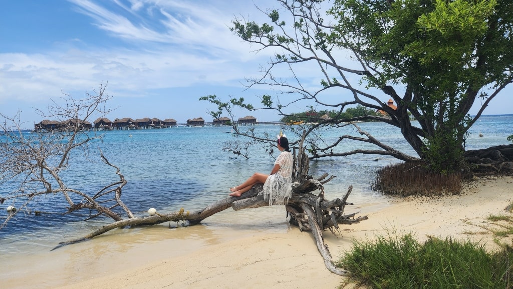 A girl sitting on a fallen tree branch in Montego Bay, Jamaica, Are There Sharks In Montego Bay