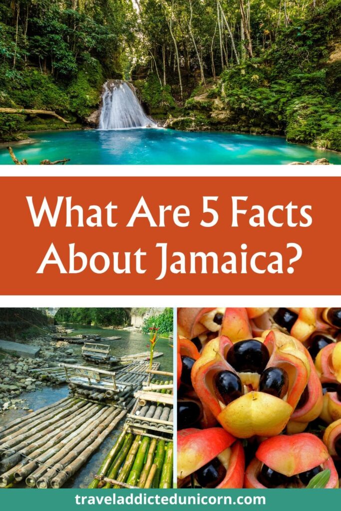 What Are 5 Facts About Jamaica pin