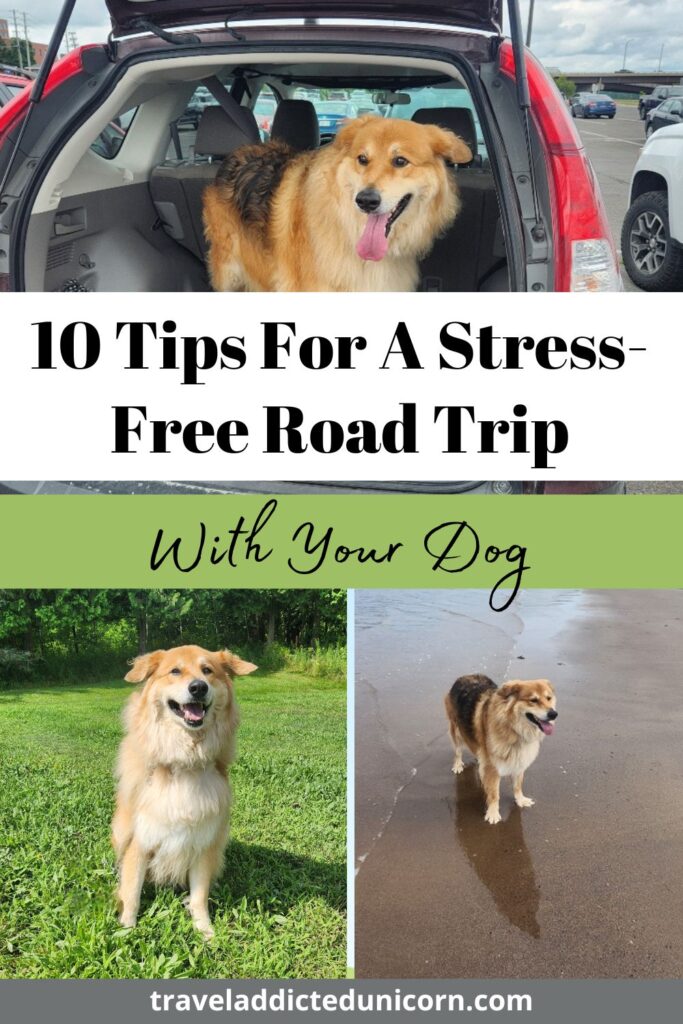 10 Tips For A Stress-Free Road Trip With Your Dog Pin
