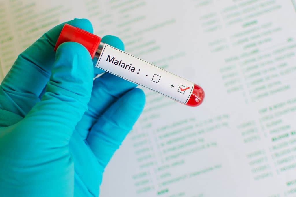 A close up of a hand wearing a blue medical glove, it is holding a vile that says malaria, if you're traveling to regions where malaria is present, you may be prescribed antimalarial medication like atovaquone/proguanil (Malarone) or doxycycline