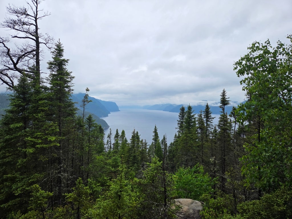 View towards the fjord from Parc National du Fjord-du-Saguenay, nature, forest