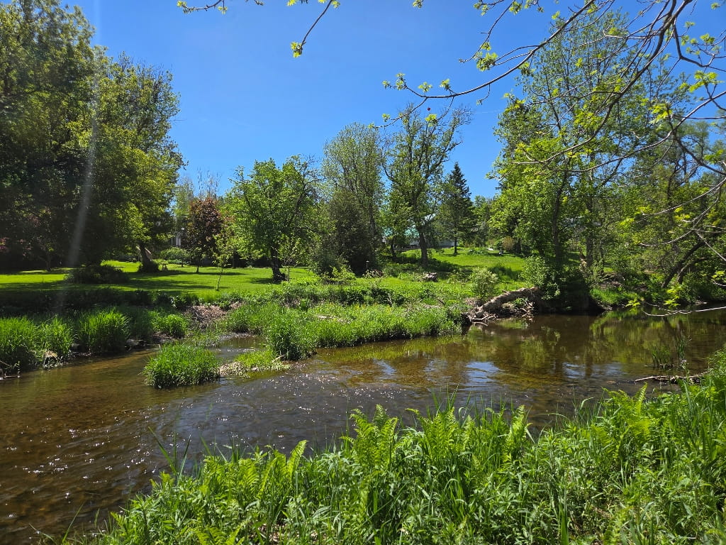 The Millennium Trail follows the lovely Mill Creek, Warkworth, Ontario
