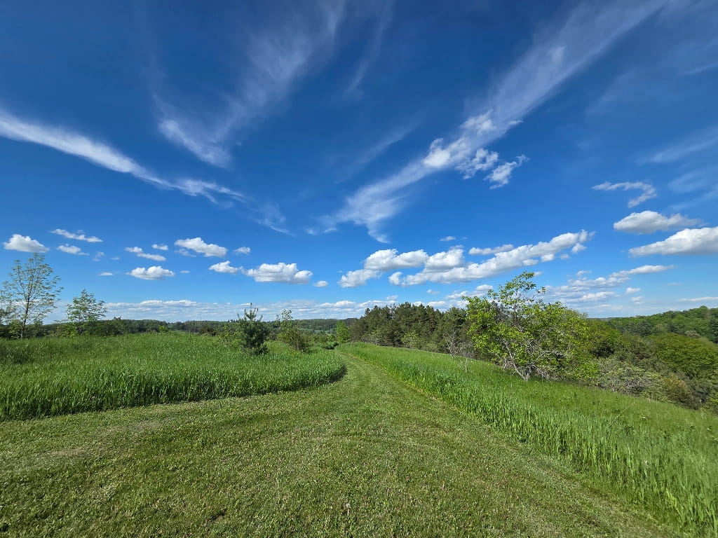 The Fells Meadows trail leading to the viewpoint, nature
