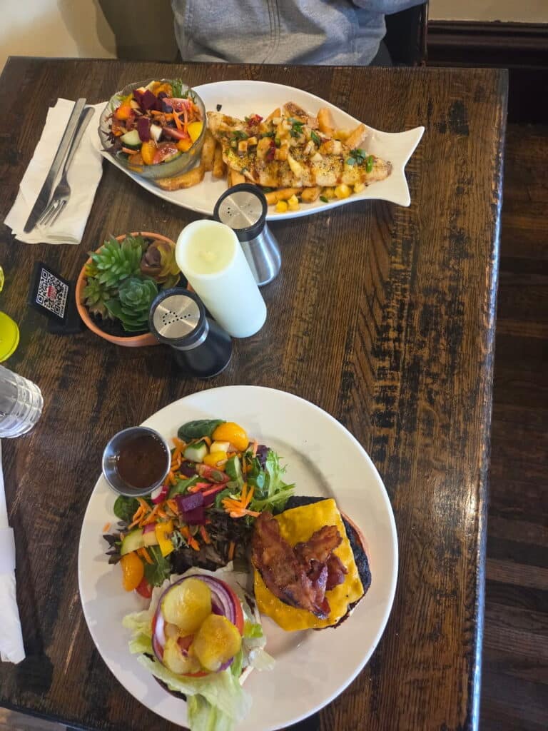 A bison burger with the house salad, the catch of the day, two plates on a table with food