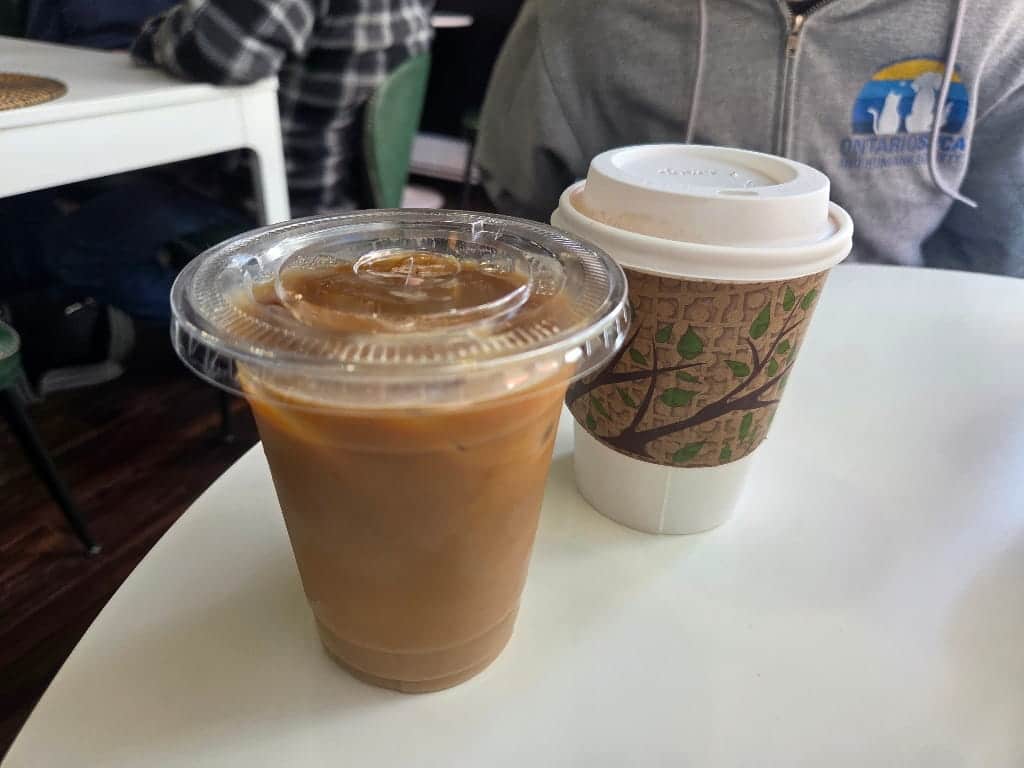 Toasted Toad Coffee Latte cold, and the Toasted Toad Tea Latte warm
