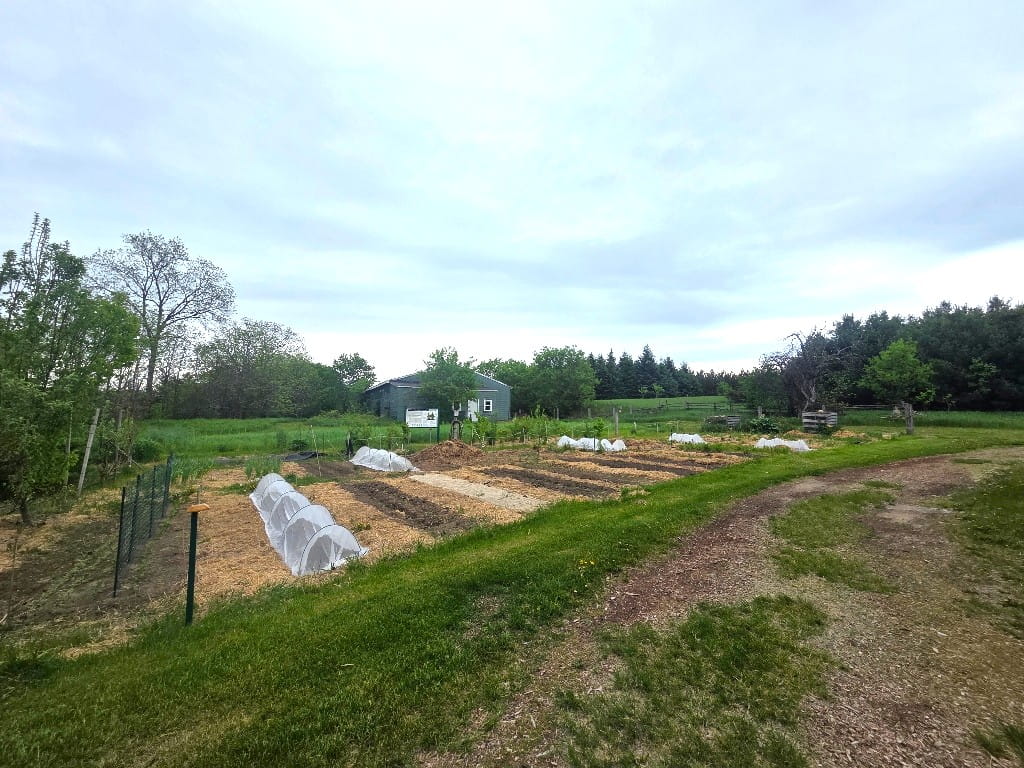 A garden with crops, nature, Fells Meadows community