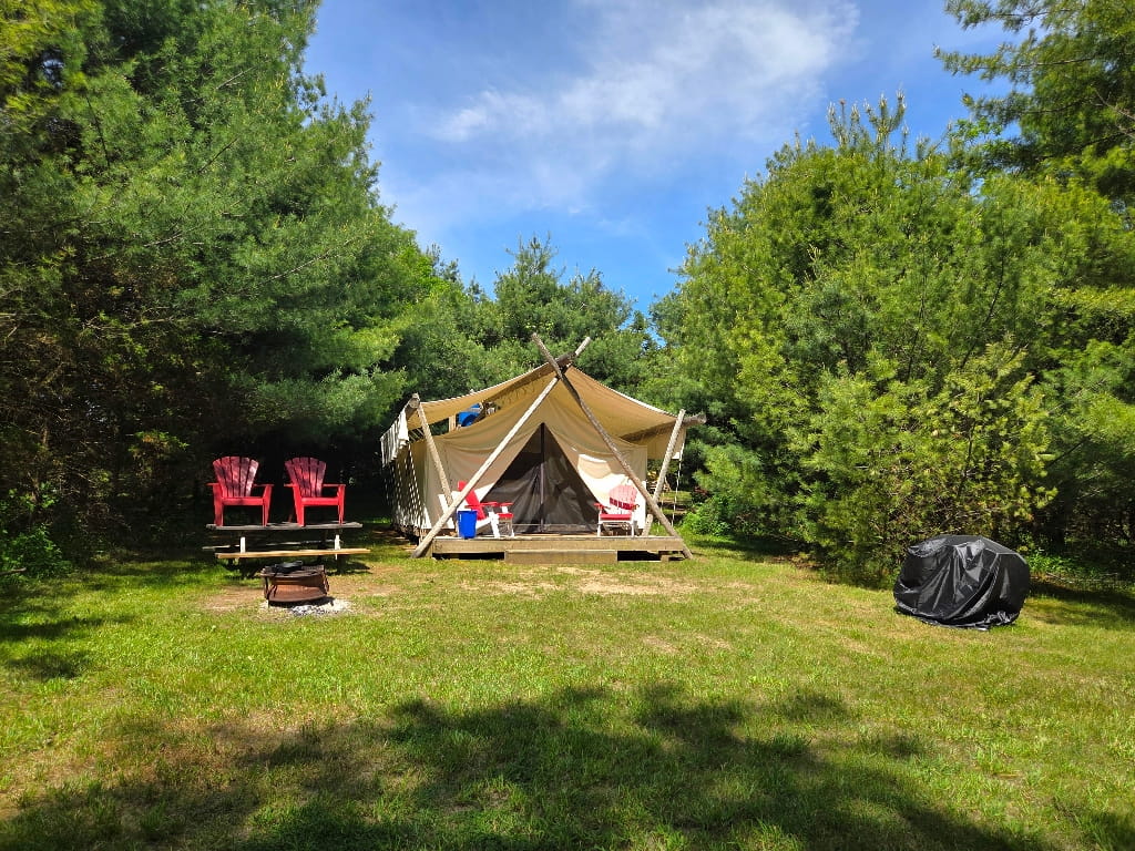 The Lynn tent, forest glamping near Port Dover