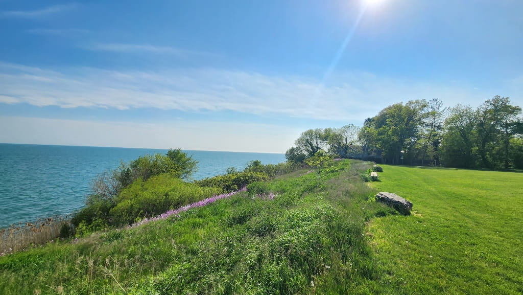 View towards Lake Erie from the Viewpoint winery, Windsor-Essex Wineries
