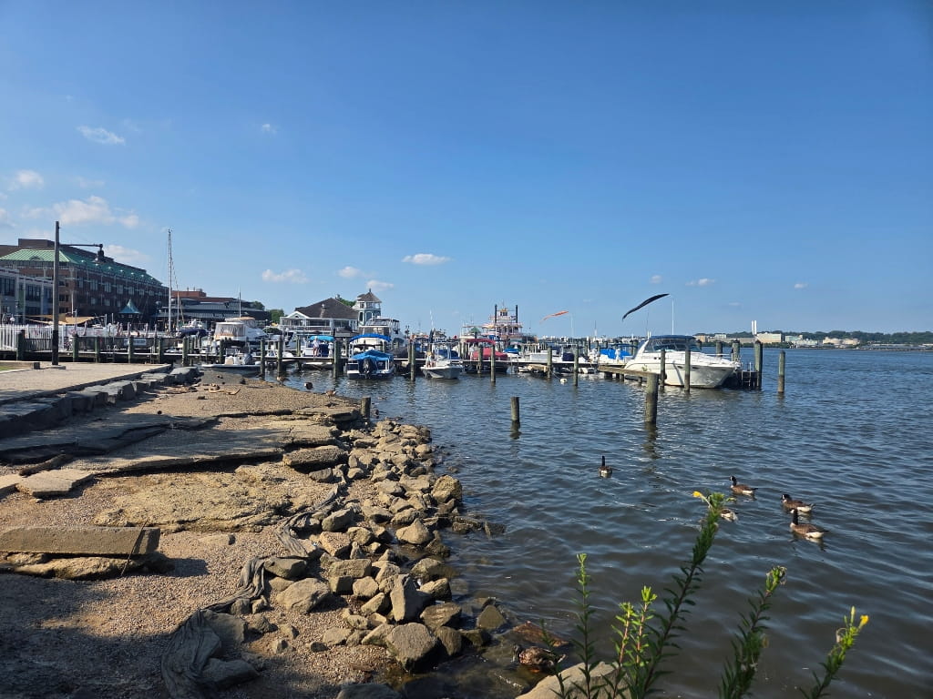 The Old Town Alexandria Waterfront, marina, boats, Things To Do In Alexandria VA