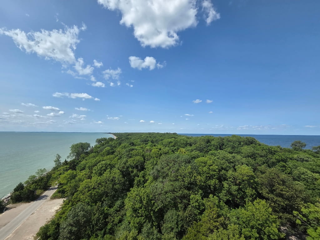Point Pelee National Park, nature, park, trees, Lake Erie