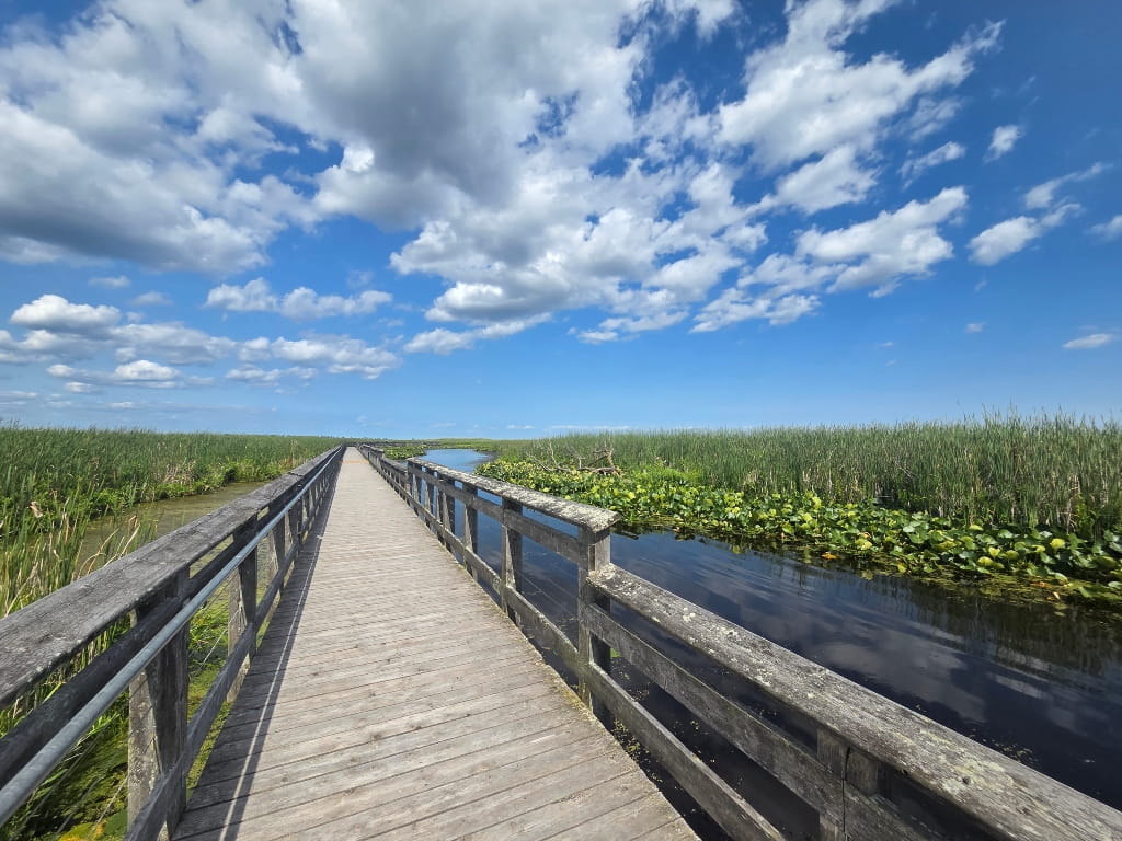 The Marsh Boardwalk, nature, wetlands, 3-Day Windsor-Essex Itinerary