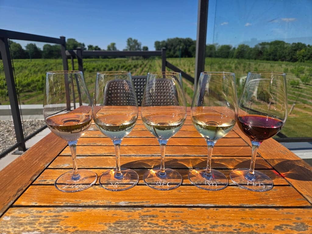Wine tasting at North 42 Degrees Estate Winery, glasses with wine