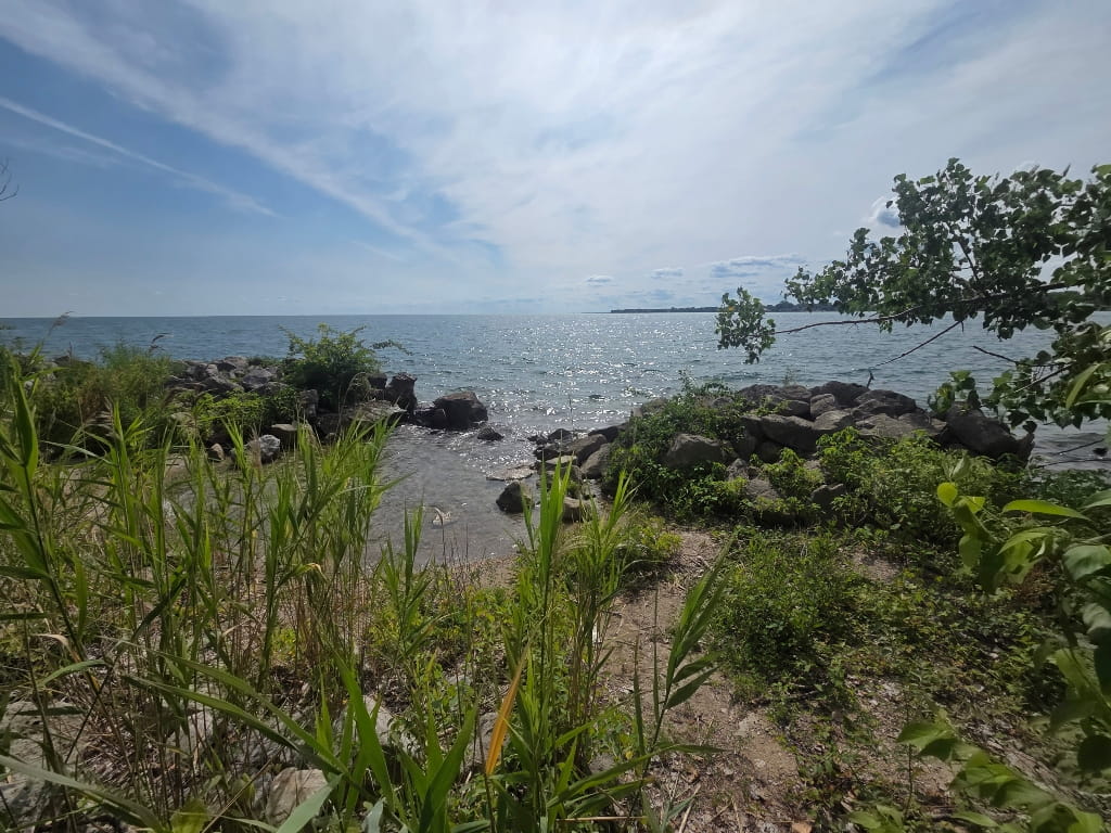 Peche Island, nature