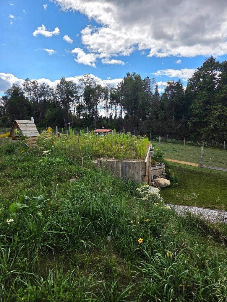 The Burrow from the side