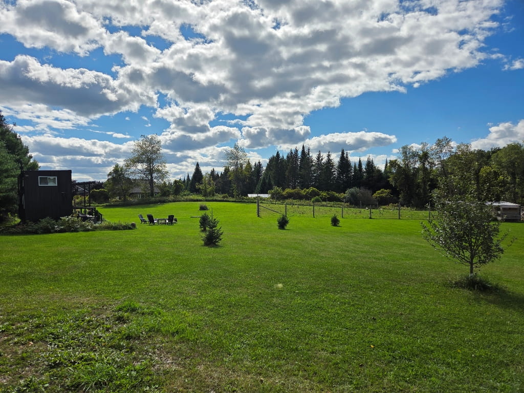 Outside the Highland House, field, nature, large lawn