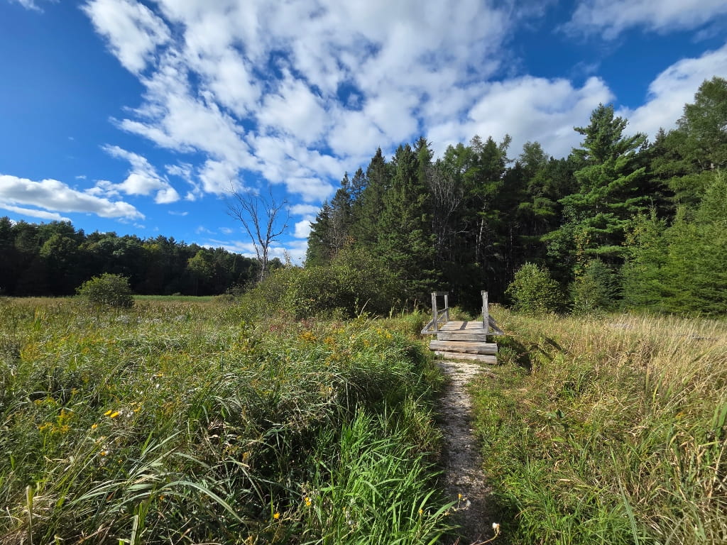 Part of the Baird Trail, hiking in Lanark County