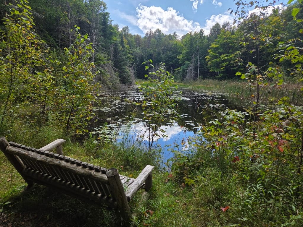 A lake and a bench along the Blueberry Mountain trail, nature, hiking