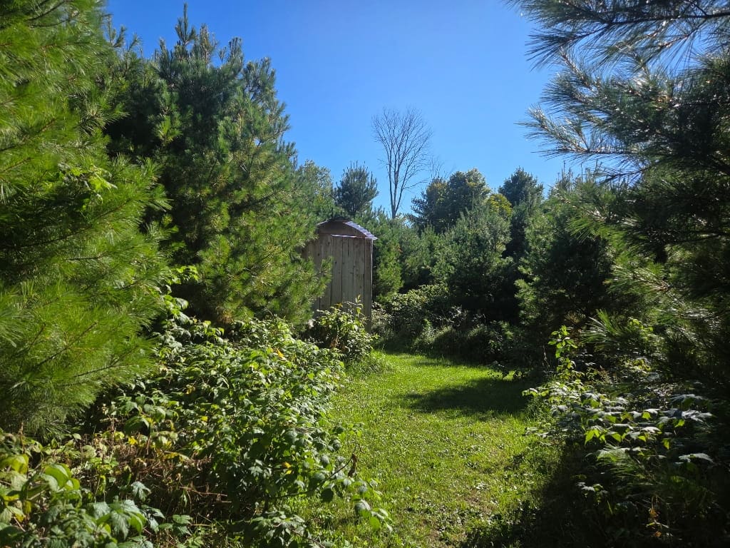 The outhouse, outside toilet