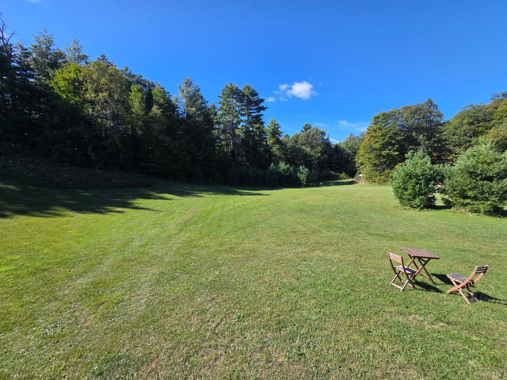 View from the rumble seat, field, grass